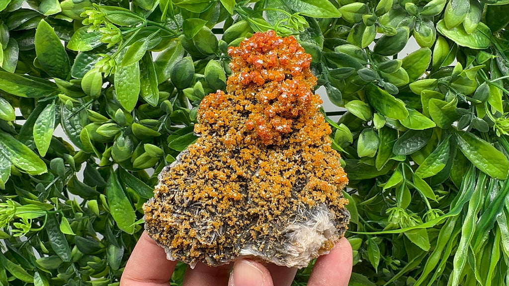 VERY Rare red Vanadinite on Barite whit Goethite from Marocco,crystal minerals Speciment cluster Vanadinite crystal Vanadinite Geology Vanad