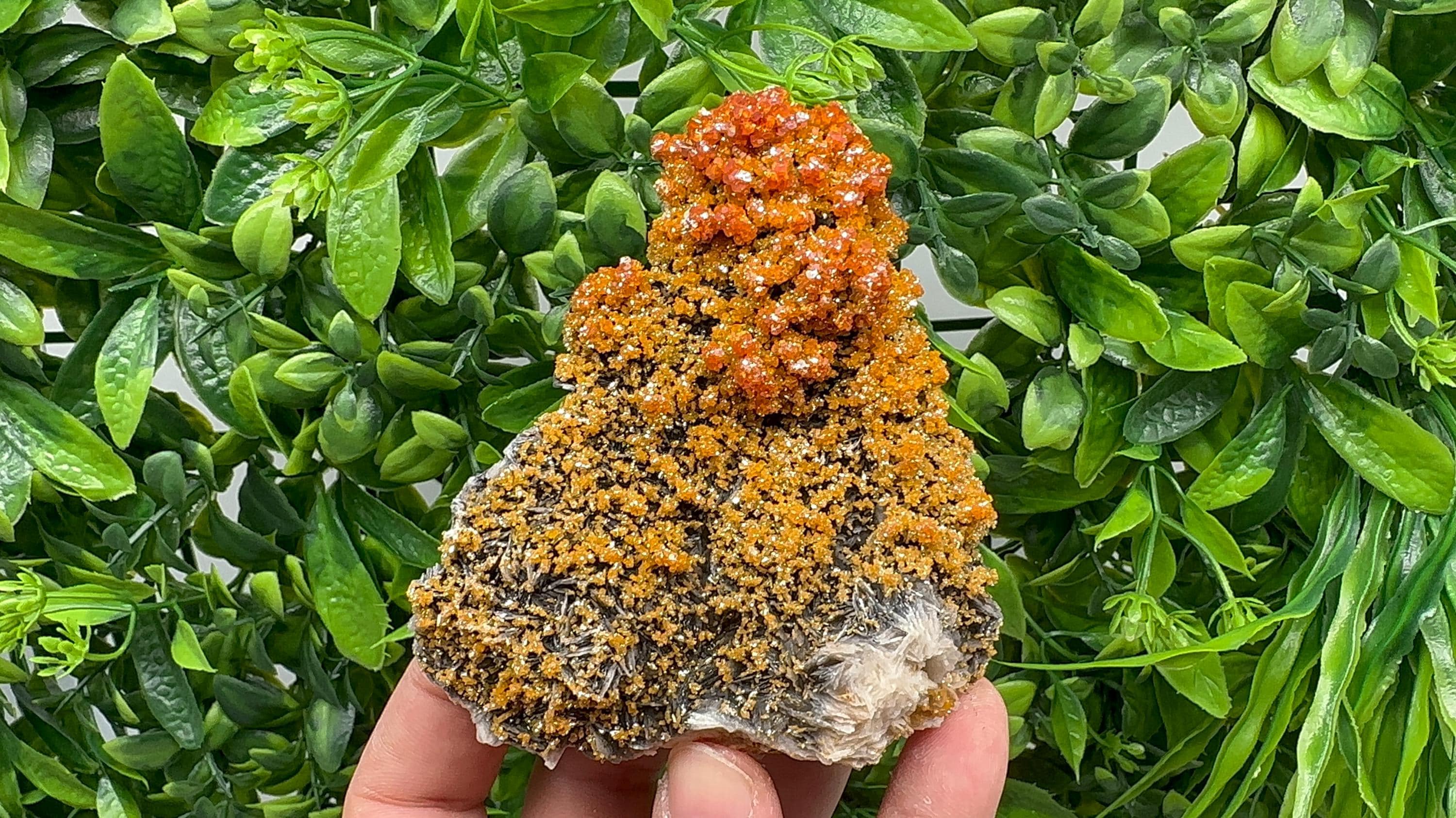 VERY Rare red Vanadinite on Barite whit Goethite from Marocco,crystal minerals Speciment cluster Vanadinite crystal Vanadinite Geology Vanad