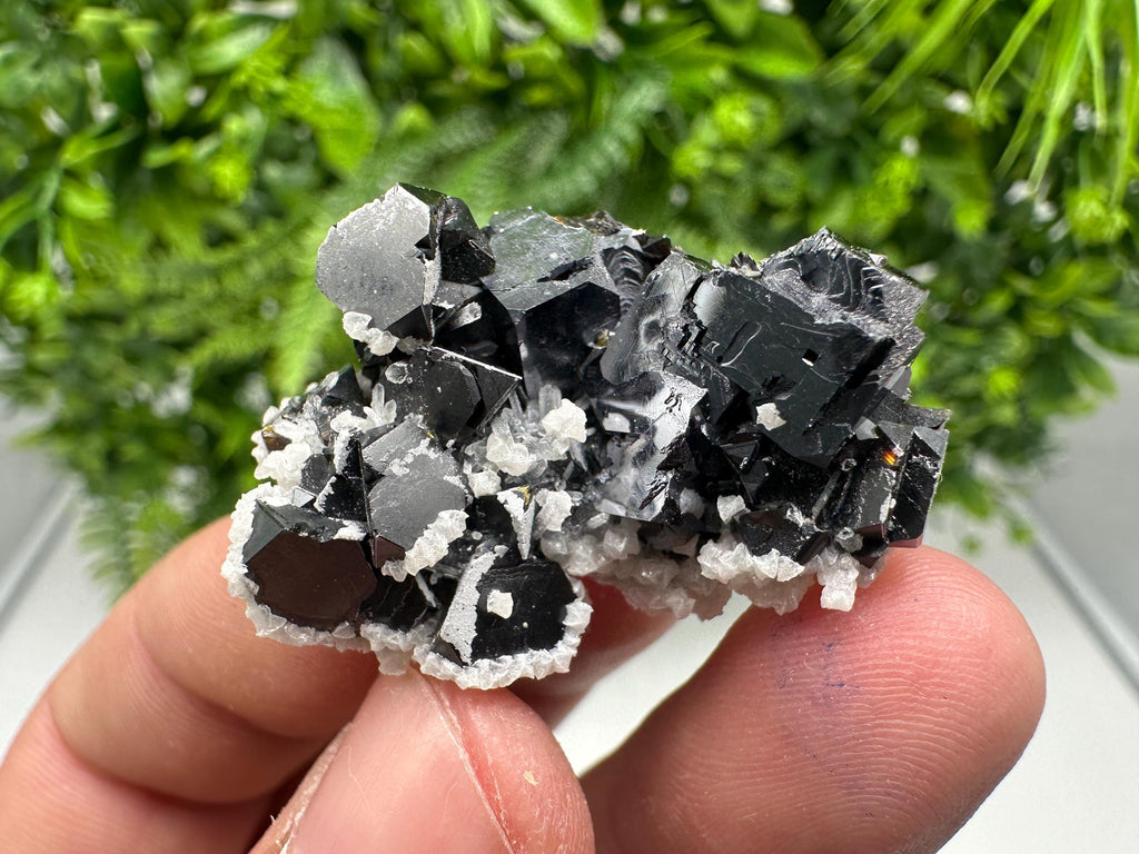 Collected Skeletal GALENA,Sphalerite,Quartz,Calcite from Krushev dol mine,Madan,Bulgaria,natural,collectible mineral specimen home decor