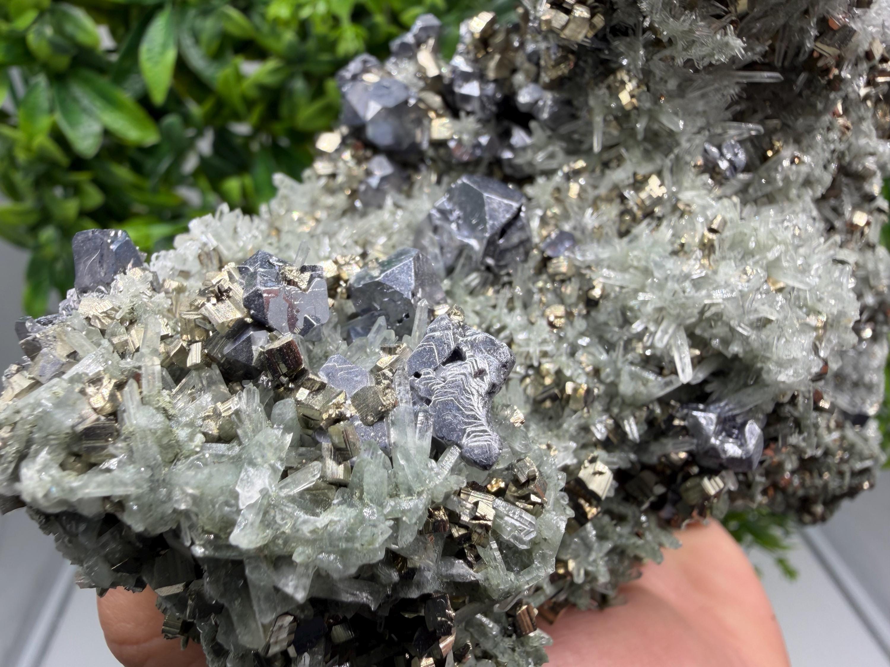 Galena on Green Quartz with Chlorite, Borieva Mine Mineral Specimen