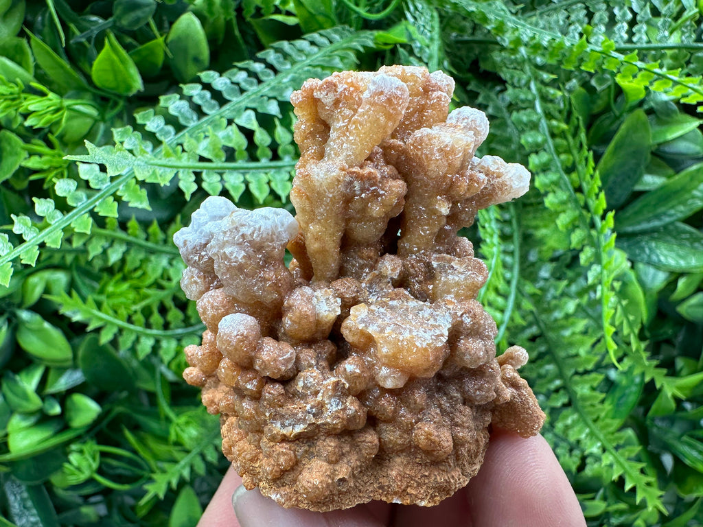 Dimitrovgrad Aragonite Cluster, Bulgaria Crystal Mineral Specimen