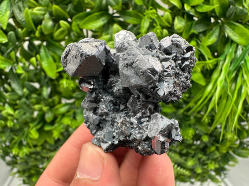 Beautiful Shiny Galena, Sphalerite on micro crystal Quartz, natural minerals souvenir Crystal, home decor stone, collection, Borieva Bulgaria