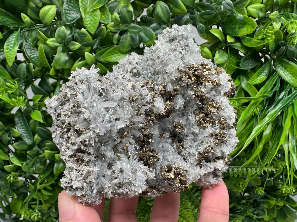 Pyrite on Needle Quartz, Borieva Mine, Bulgaria, Mineral Specimen