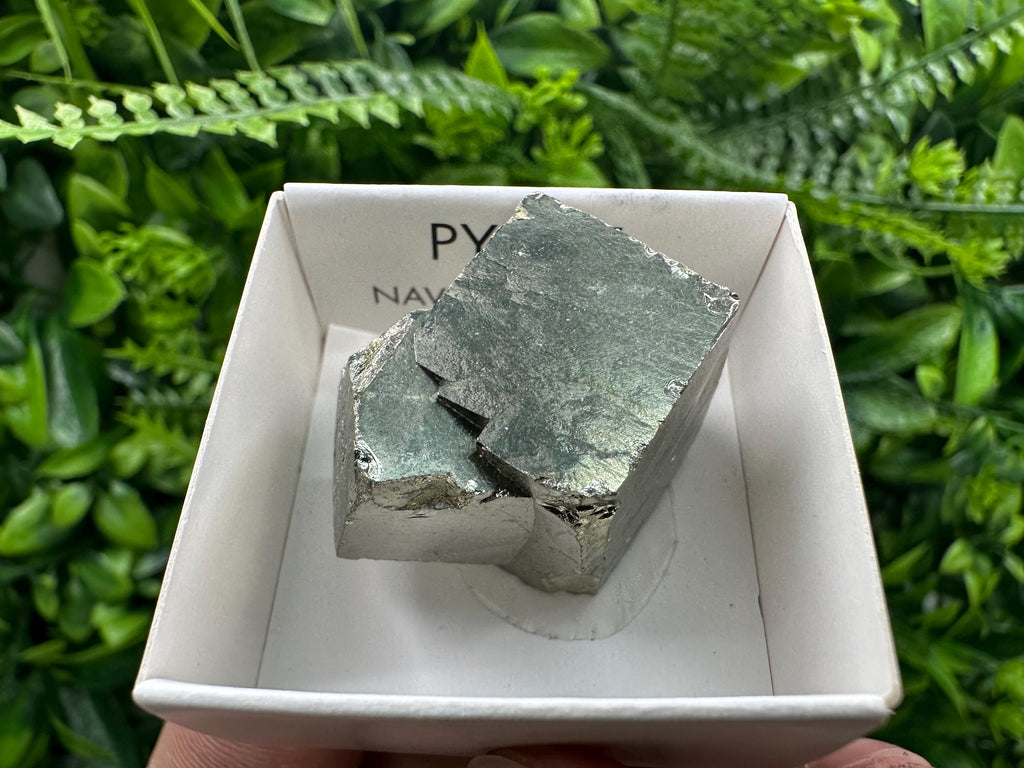 Large Pyrite Cube, Navajun Spain, Shiny Mineral Specimen
