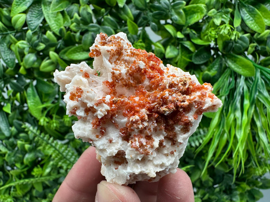 Red Vanadinite Crystal on Barite Matrix, Morocco Mineral Specimen