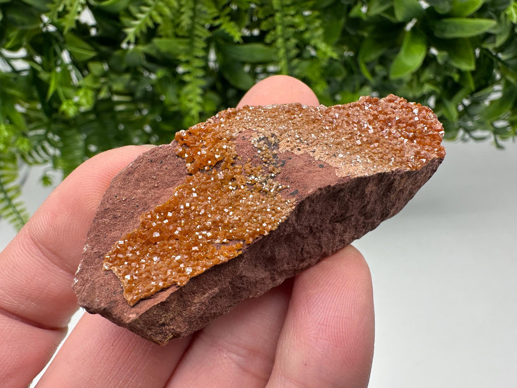 Red Vanadinite on Matrix from Marocco,crystal minerals Speciment cluster Vanadinite crystal Vanadinite Geology Vanadinite cluster minerals