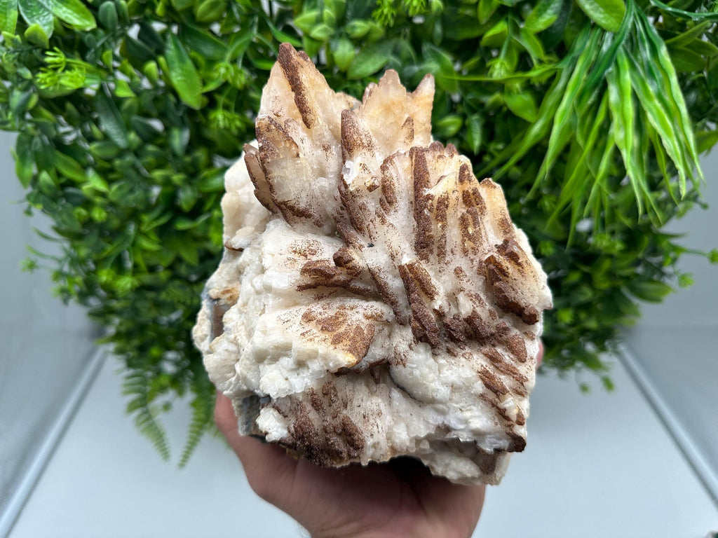 Stunning Brown Rhodochrosite on Calcite,Chalcedony,from Djurcovo mine,Bulgaria,natural collection mineral specimen,home decor crystal,gift