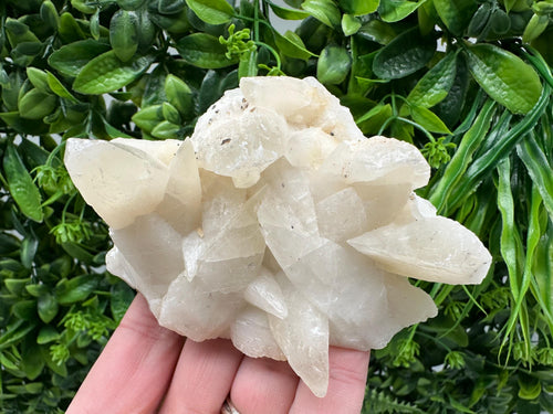 Calcite on Green Quartz: Laki Bulgaria Healing Crystal