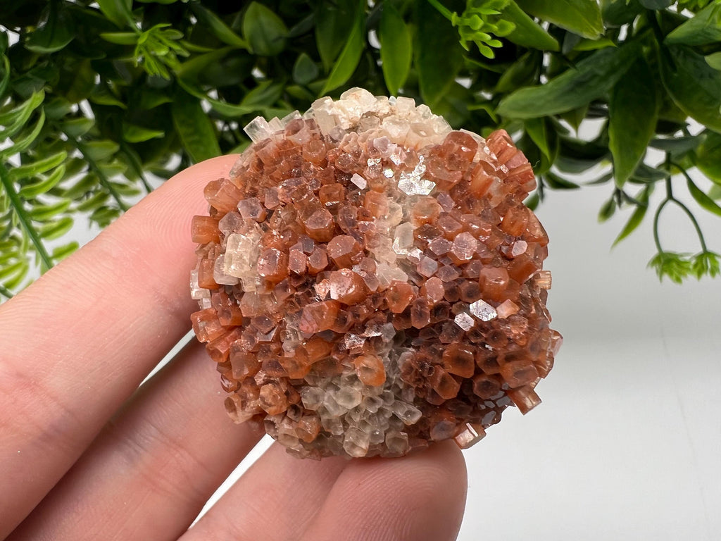Extra Large Aragonite Sputnik Cluster: Moroccan Raw Crystal Stone