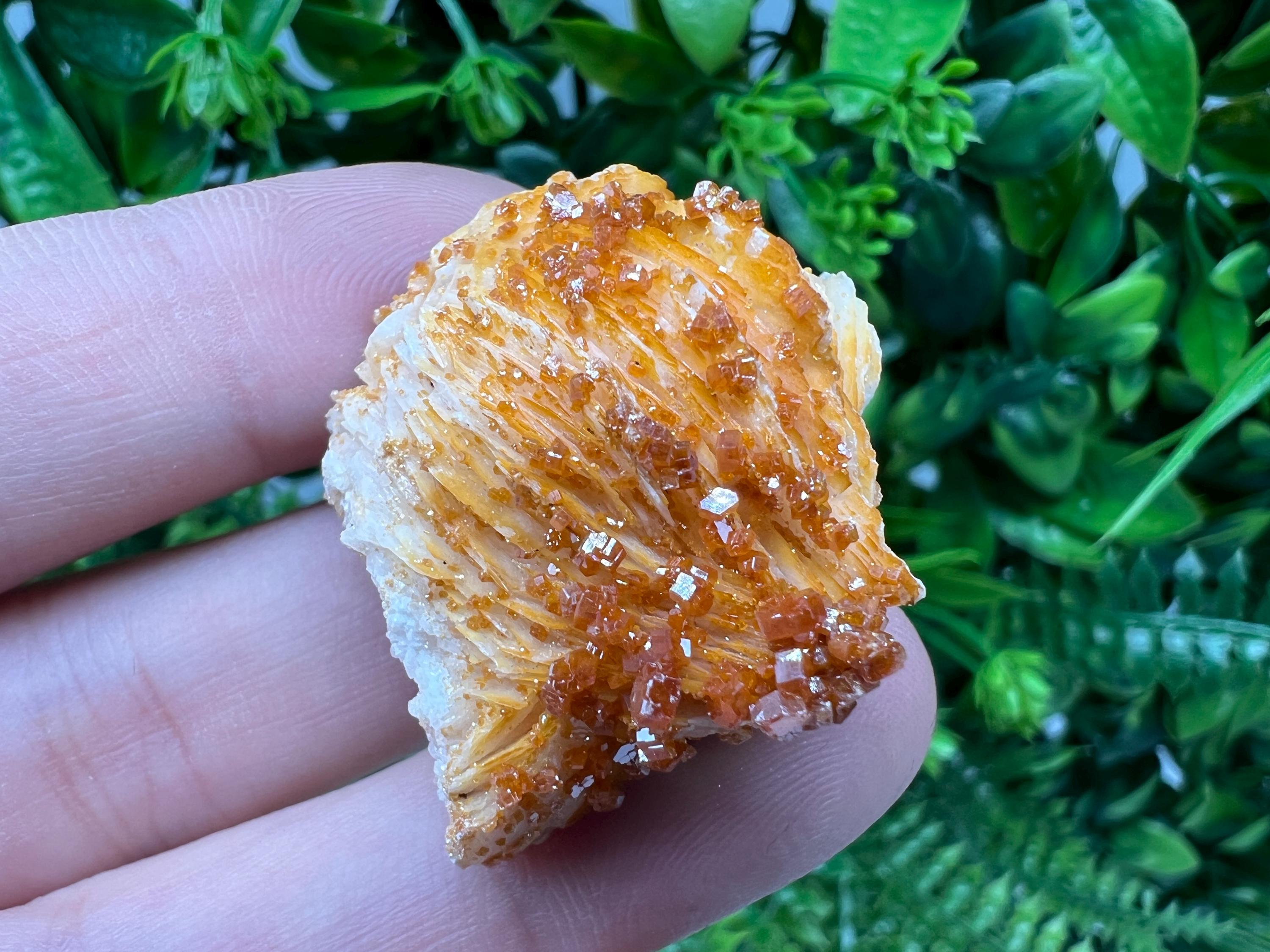Red Vanadinite on Barite from Marocco,crystal minerals Speciment cluster Vanadinite crystal Vanadinite Geology Vanadinite cluster minerals