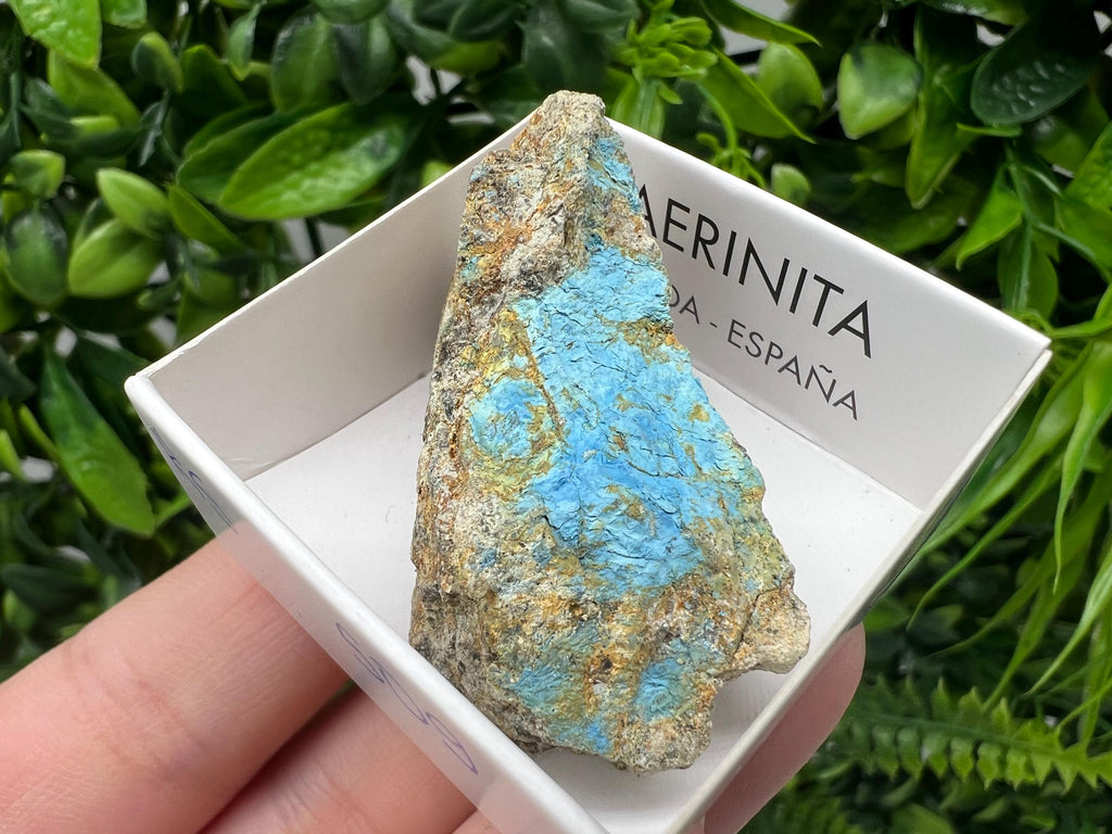 Rare Raw Aerinite Mineral Specimen: Lleida, Spain Crystal Collection