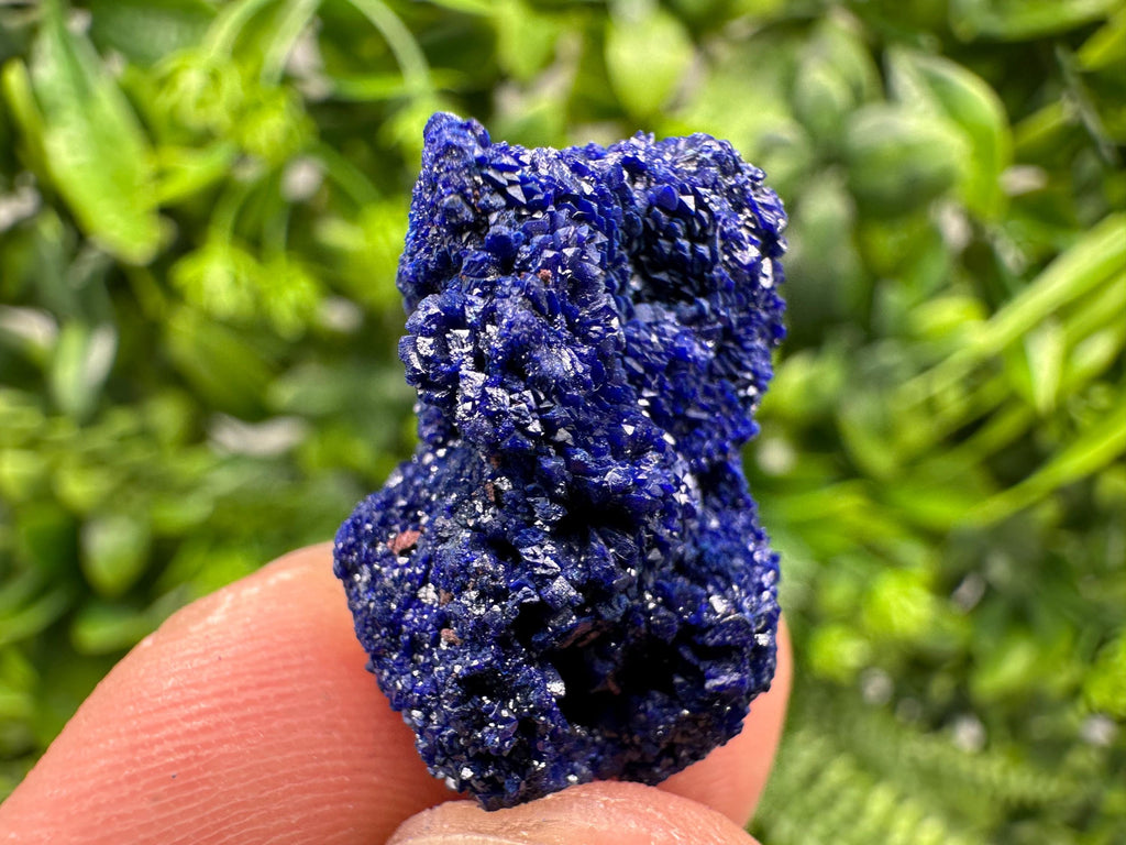 Crystallized Azurite-Kerrouchen,Morocco-Blue Azurite Specimen-High Quality Blue Azurite-Azurite Mineral Specimen, gemmy,lustrous of Azurite