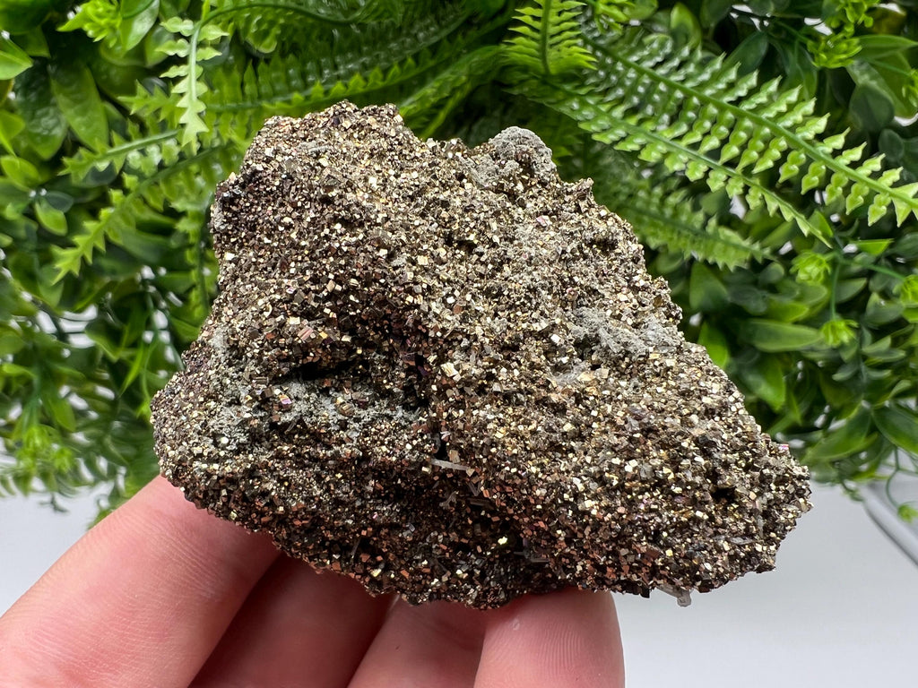 Pyrite on Green Quartz Specimen, Borieva Bulgaria Mineral Decor