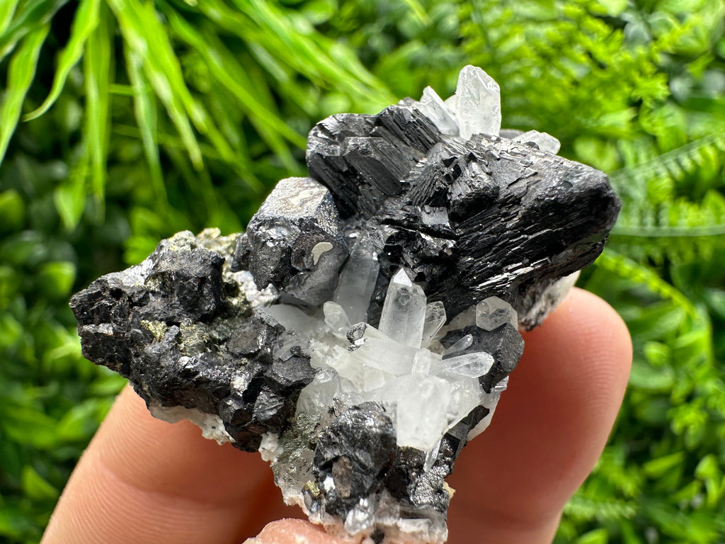 Sphalerite, Galena, Pyrite on Quartz Cluster - Borieva Mine, Bulgaria