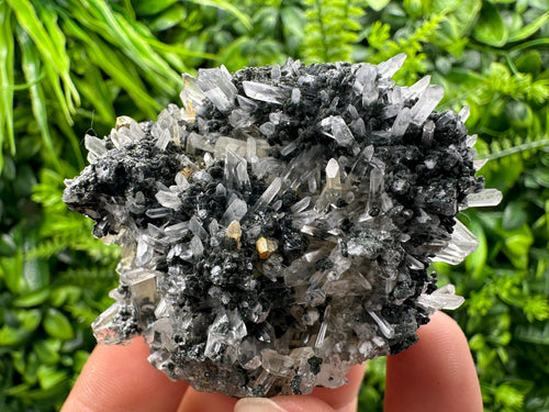 Chlorite Quartz Crystal: Iron Oxide Mineral Specimen, Borieva Bulgaria