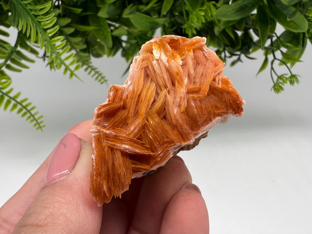 Wonderful Baryte with Cerussite on Galena from Morocco,Crystal, Mineral,Specimen,Cluster,Crystals,Barite Crystal,Cerussite Crystal,Specimen