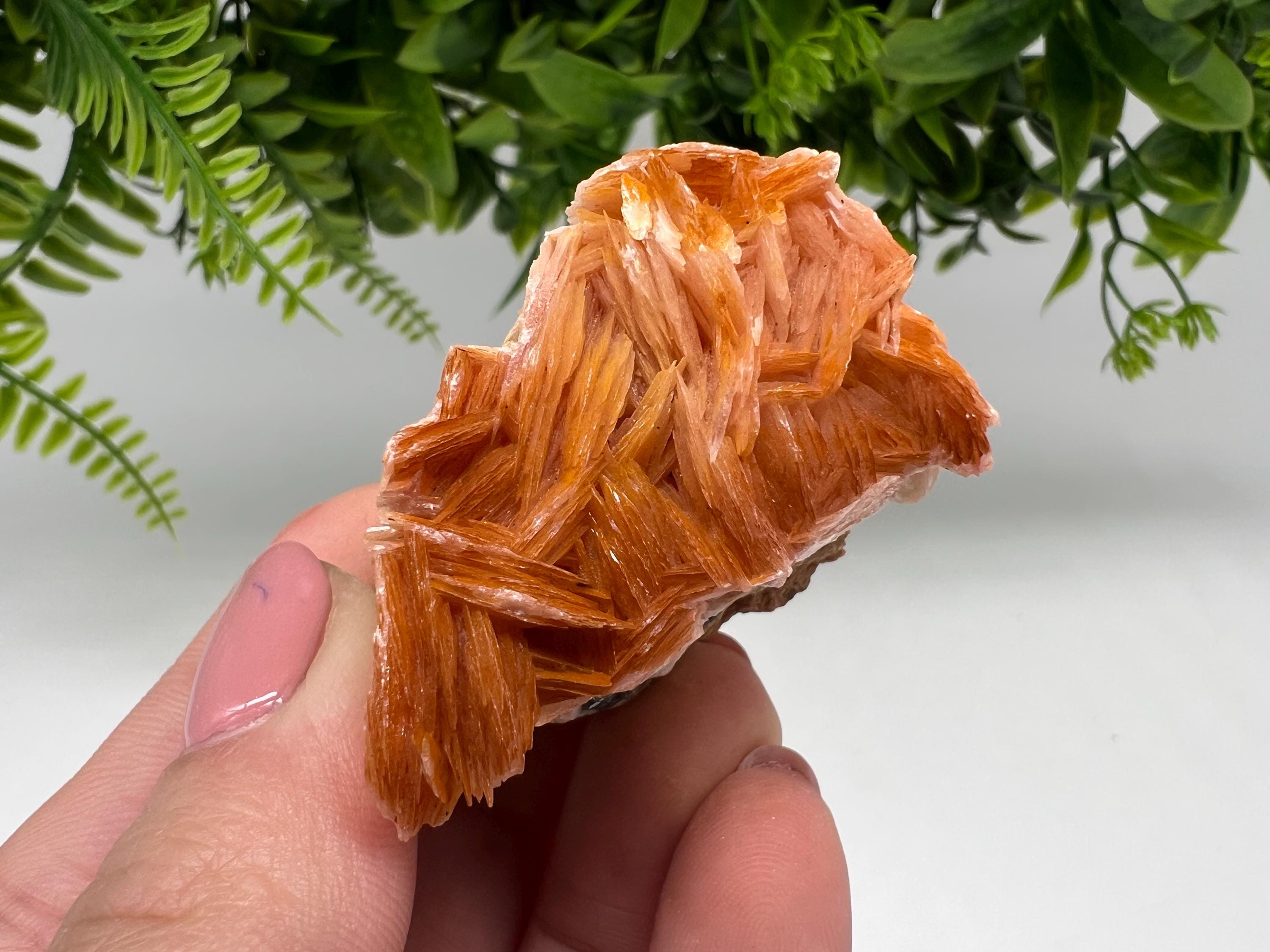 Wonderful Baryte with Cerussite on Galena from Morocco,Crystal, Mineral,Specimen,Cluster,Crystals,Barite Crystal,Cerussite Crystal,Specimen