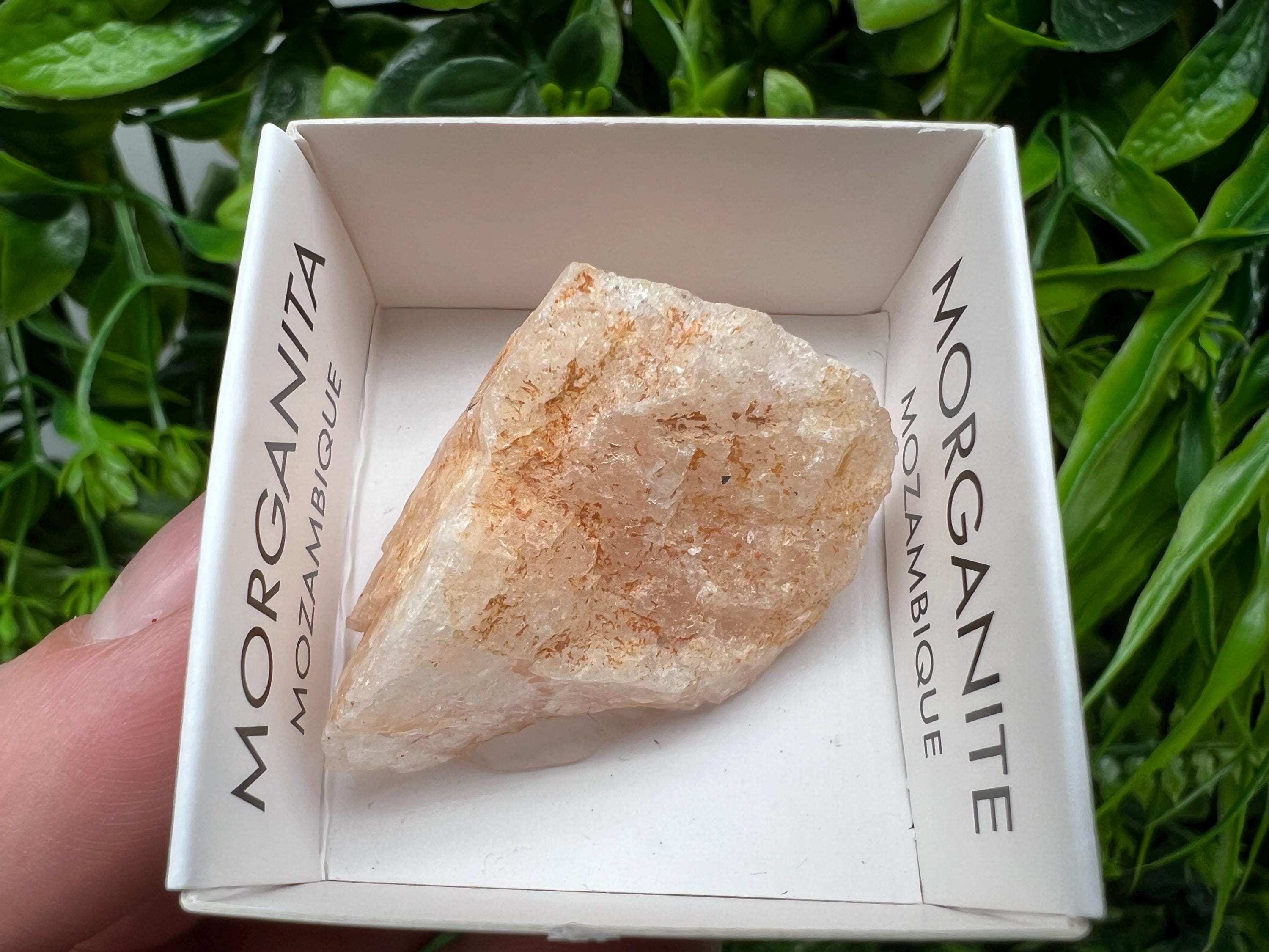 Rare Raw Morganite Specimen: Mozambique Crystal Collection (3/3.5cm)