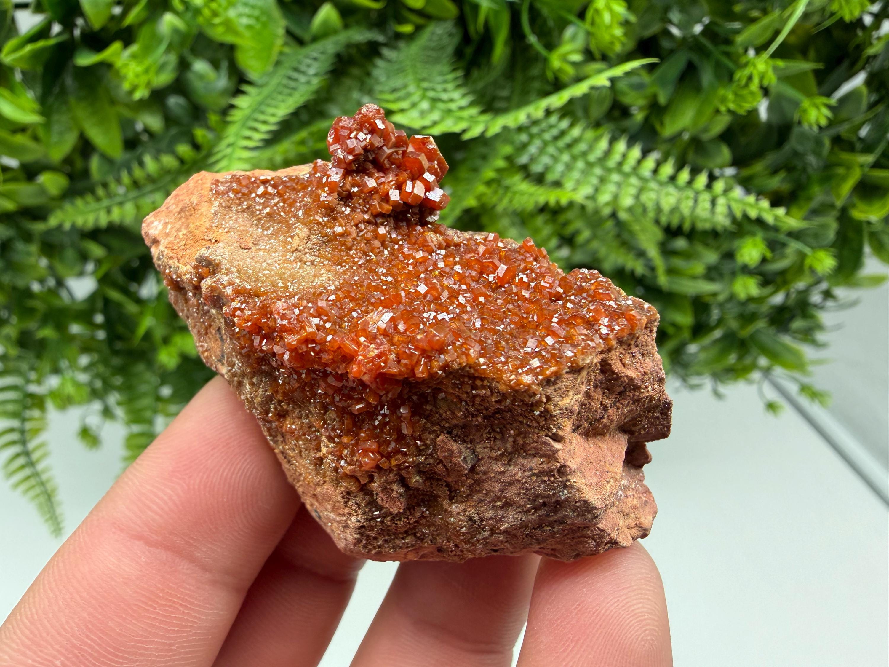Red Vanadinite on Matrix from Marocco,crystal minerals Speciment cluster Vanadinite crystal Vanadinite Geology Vanadinite cluster minerals
