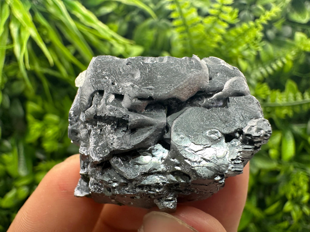 Shiny Galena Cluster: Borieva Mine, Madan Bulgaria (4/3/3 cm)