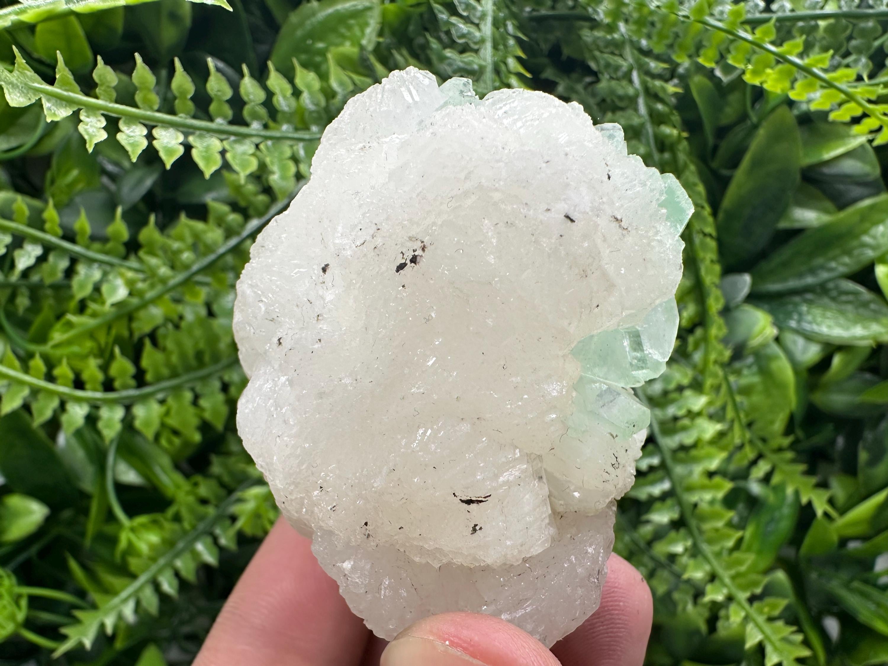 Green Apophyllite with Stilbite, India Crystal Specimen