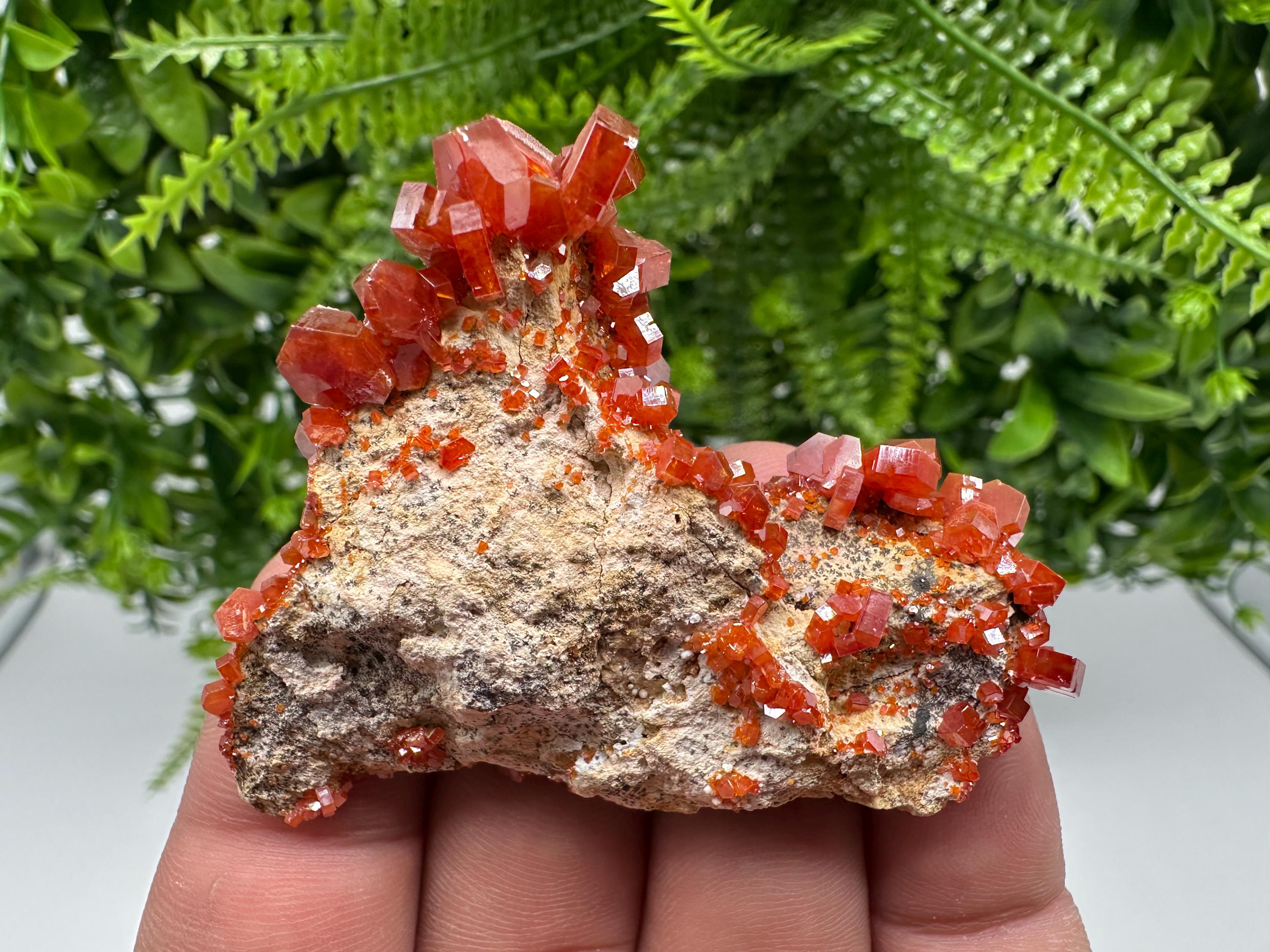 Red Vanadinite on Barite from Marocco,crystal minerals Speciment cluster Vanadinite crystal Vanadinite Geology Vanadinite cluster minerals