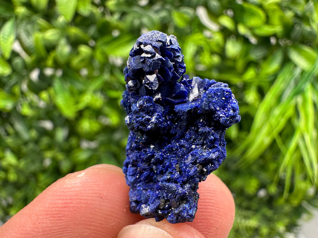 Crystallized Azurite-Kerrouchen,Morocco-Blue Azurite Specimen-High Quality Blue Azurite-Azurite Mineral Specimen, gemmy,lustrous of Azurite