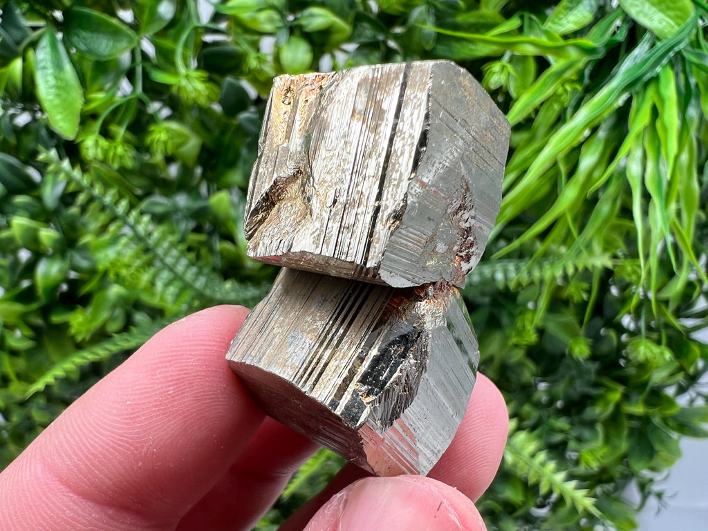 Rare Mini Pyrite Cluster: Borieva Mine, Bulgaria