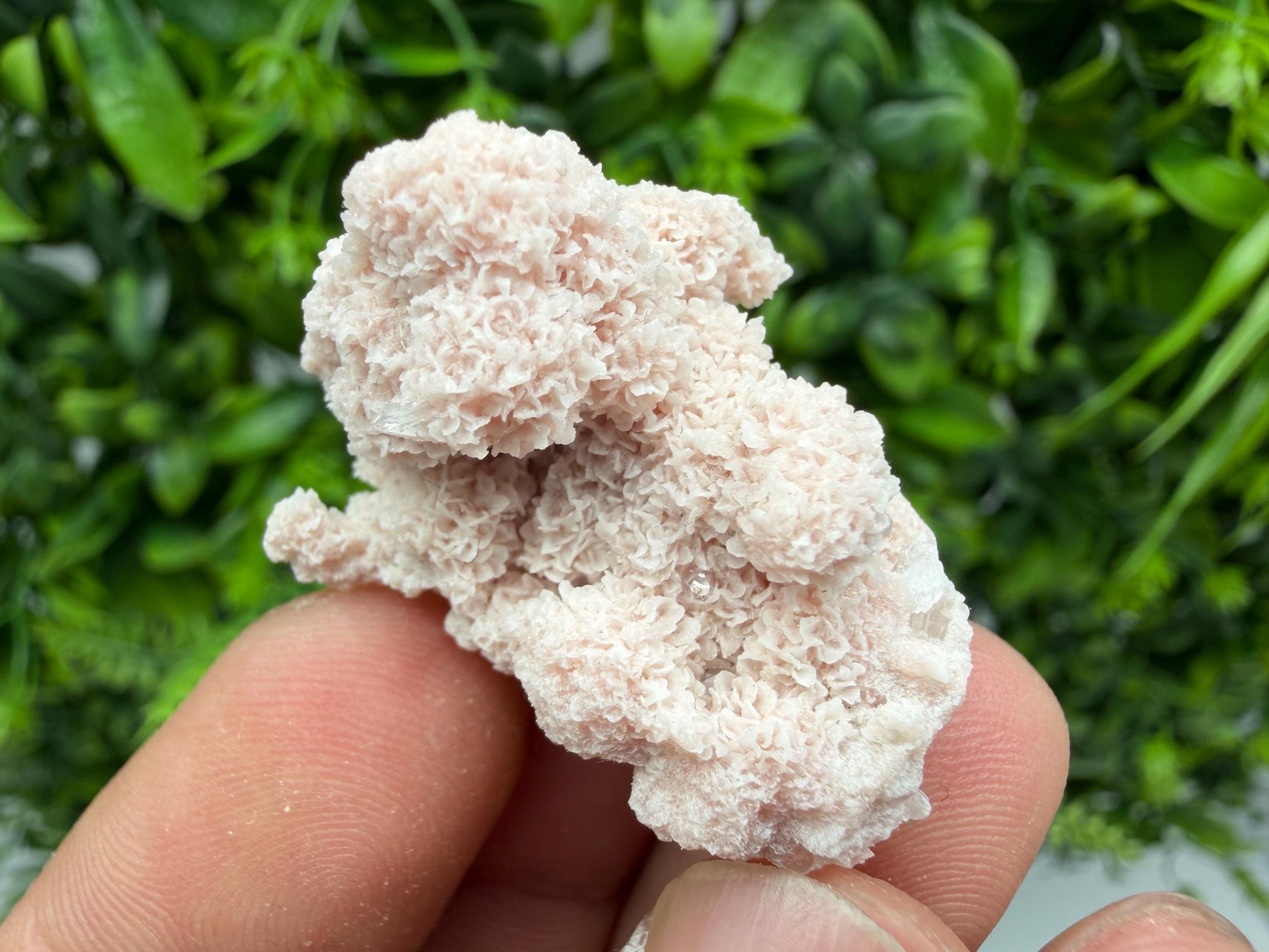 Stunning Quartz whit Chlorite on Rhodochrosite covered whit siderite natural minerals souvenir crystal home decor stone 9th September mine
