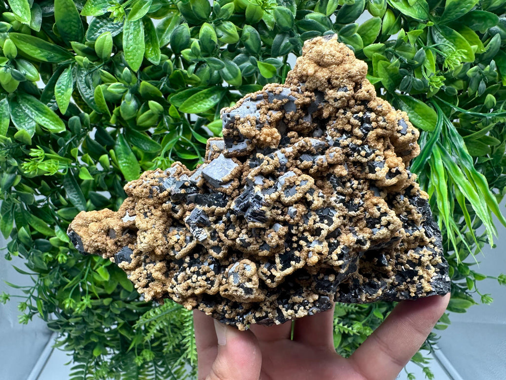 Skeletal Galena with Dolomite: Krushev Dol Mine, Bulgaria