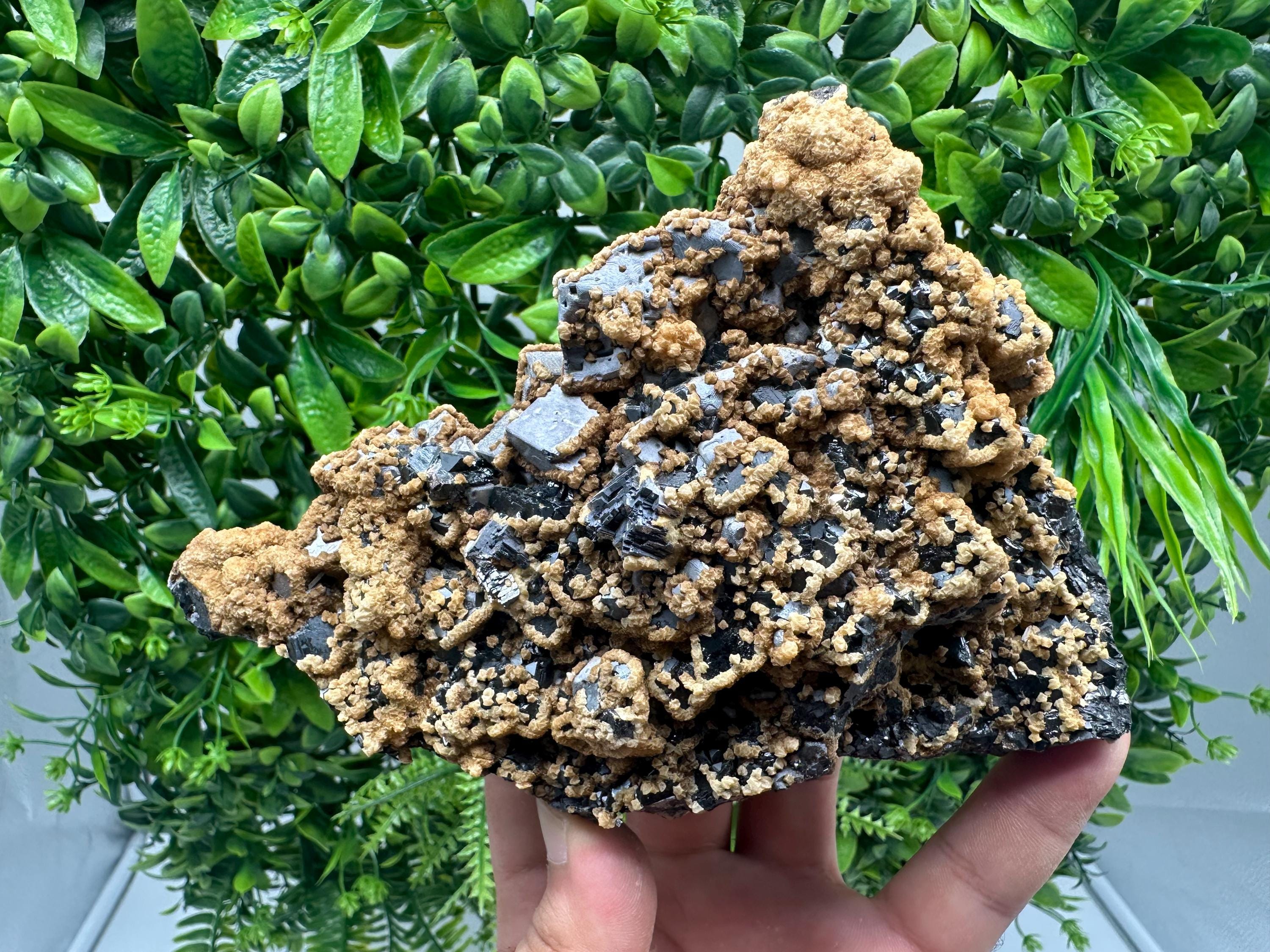 Skeletal Galena with Dolomite: Krushev Dol Mine, Bulgaria