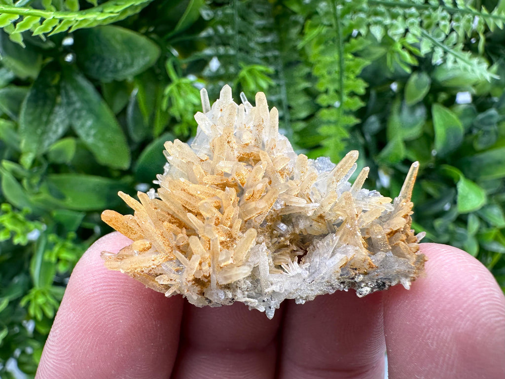 Limonite Coated Quartz Crystal Cluster, Natural Mineral Specimen
