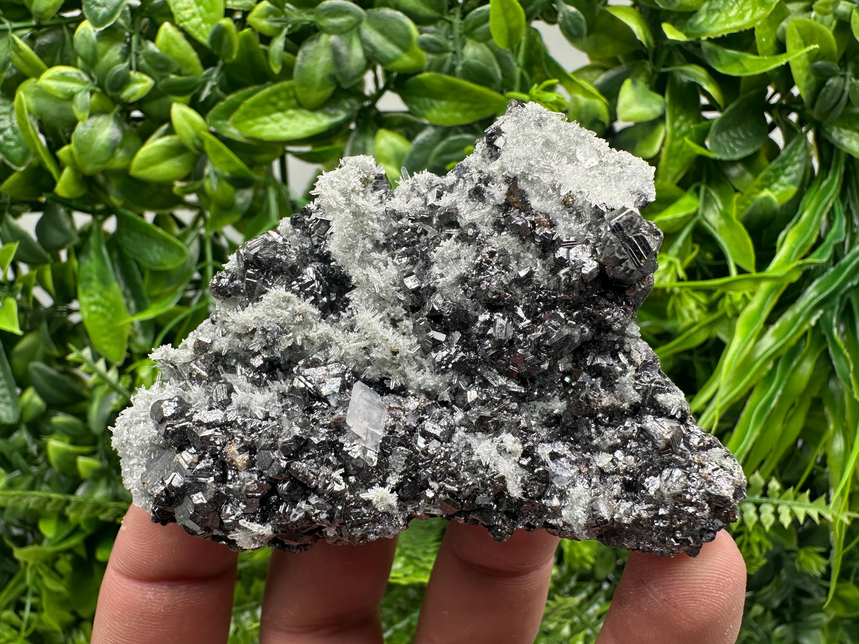 Sphalerite on Green Quartz, Madan Bulgaria, Mineral Specimen