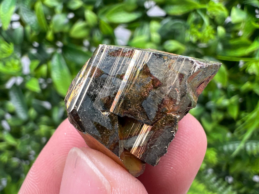 Rare Crystallized Pyrite Cluster, Borieva Mine Specimen