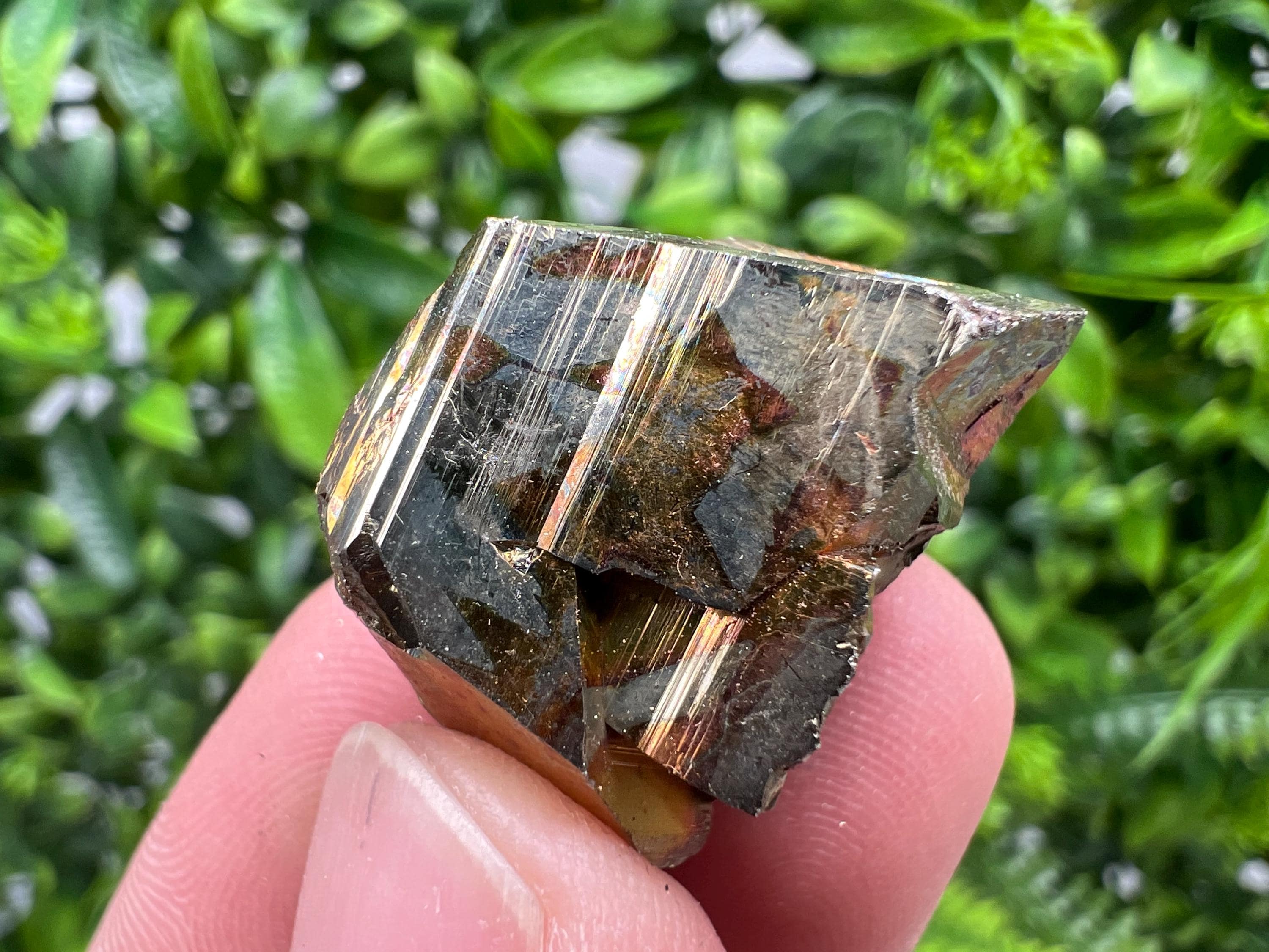 Rare Crystallized Pyrite Cluster, Borieva Mine Specimen