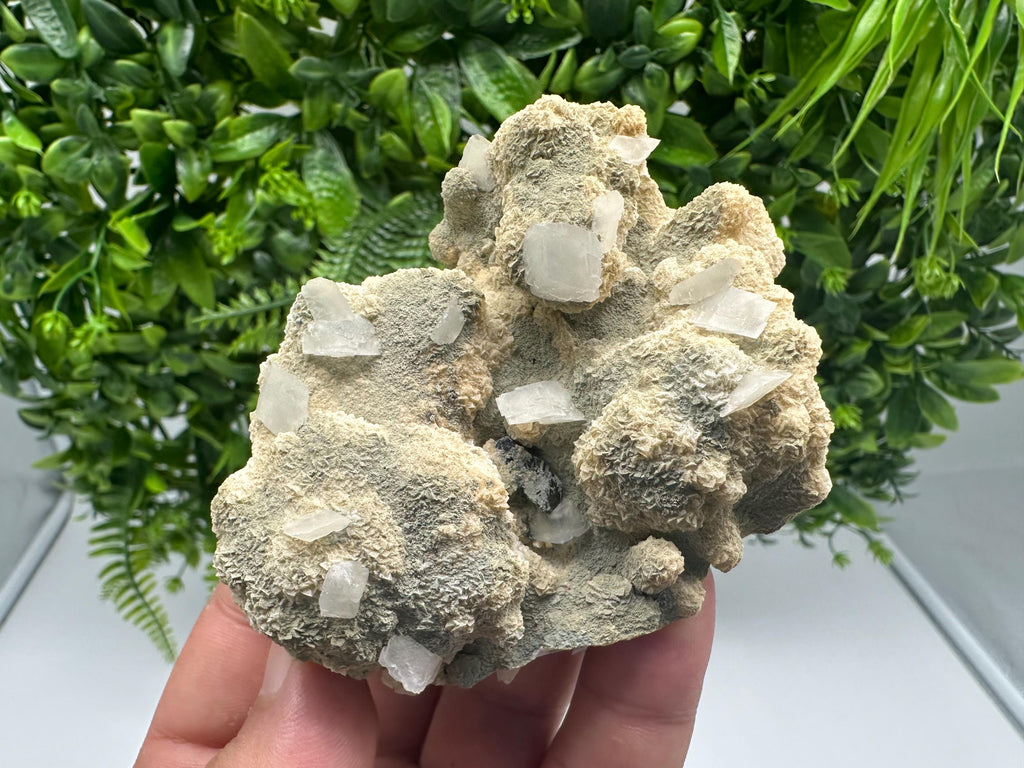 Calcite on Aragonite Mineral Specimen: Borieva Mine, Bulgaria