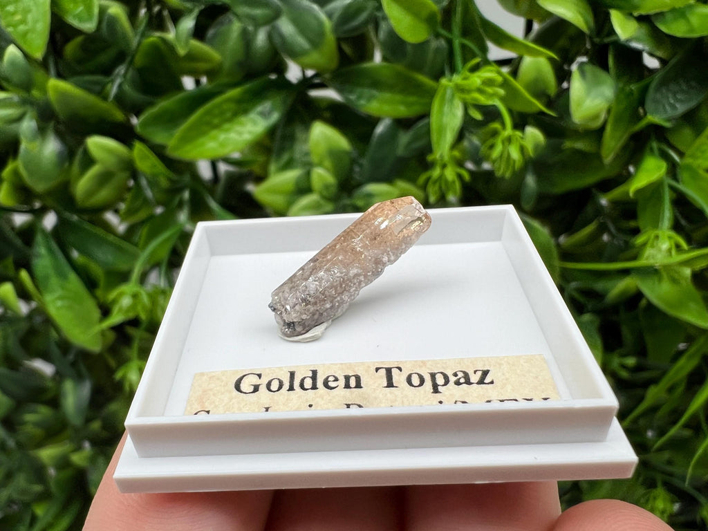 Beautiful Golden Topaz from Mexico,collection piece Crystal,Mineral,collectibles,Collectors, Natural Crystal, Minerals from Mexico,original,