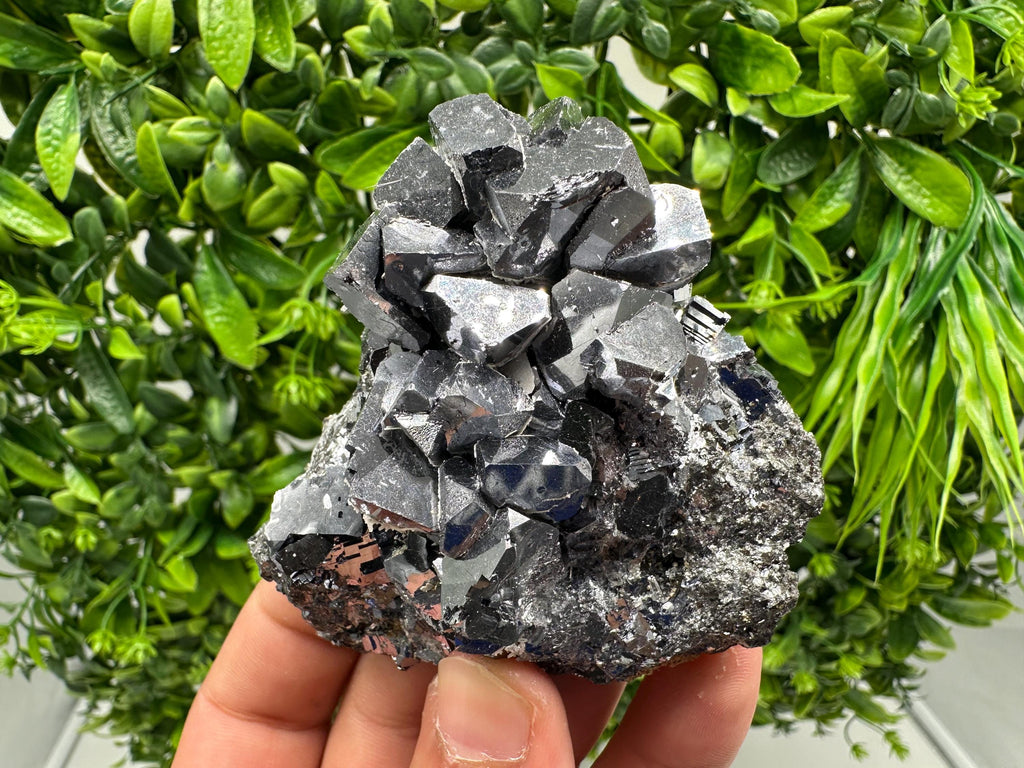 Rare Galena Cubes, Extra Mirror, Marzyan Mine, Bulgaria