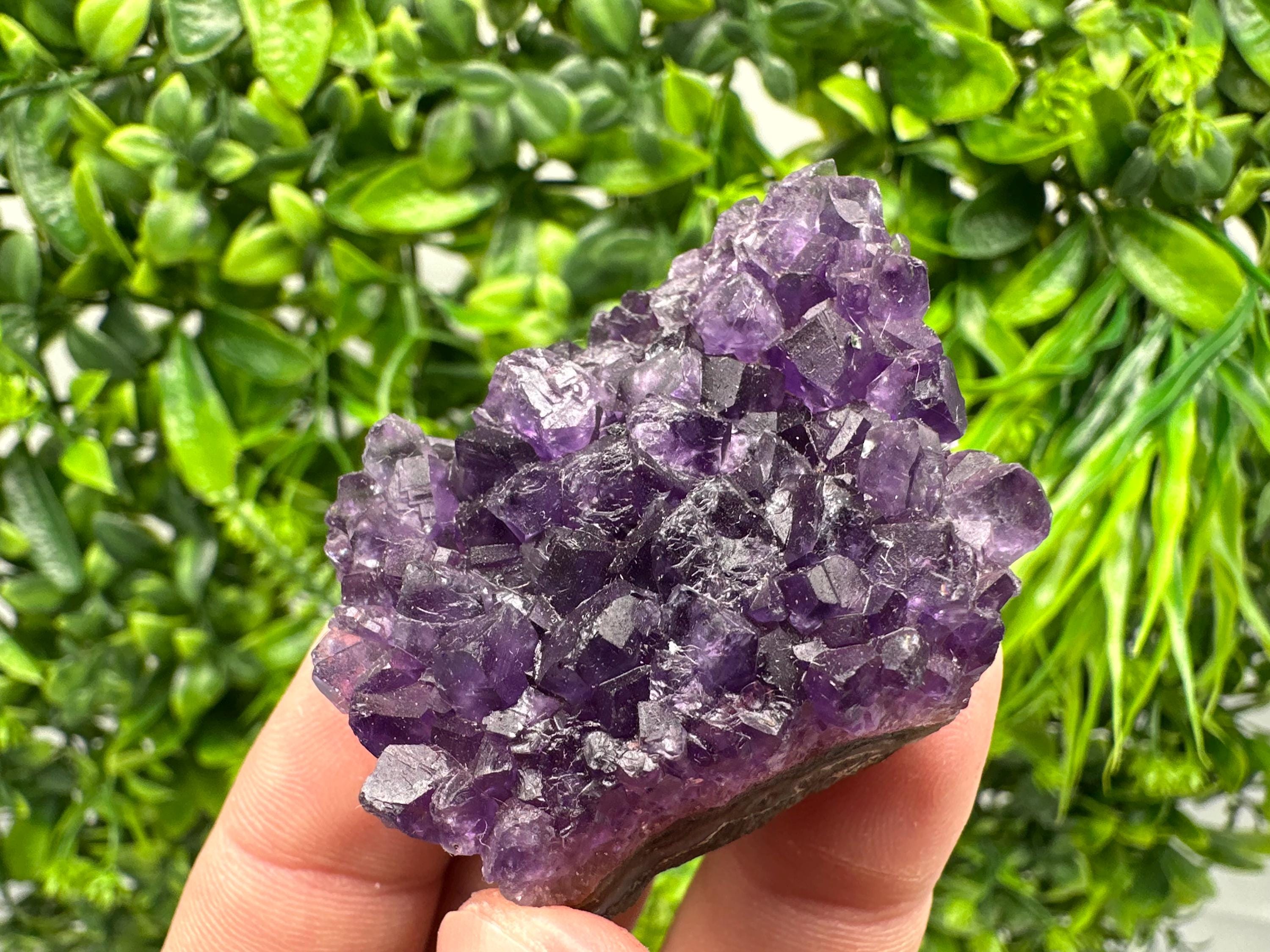 Uruguay Amethyst Cluster: Purple Quartz Crystal, Home Decor
