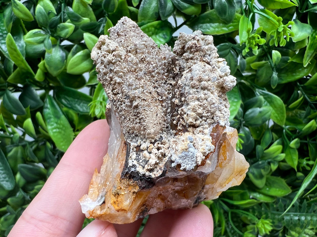Rare Green Pyromorphite with Hematite on Quartz - Madjarovo Bulgaria Mineral