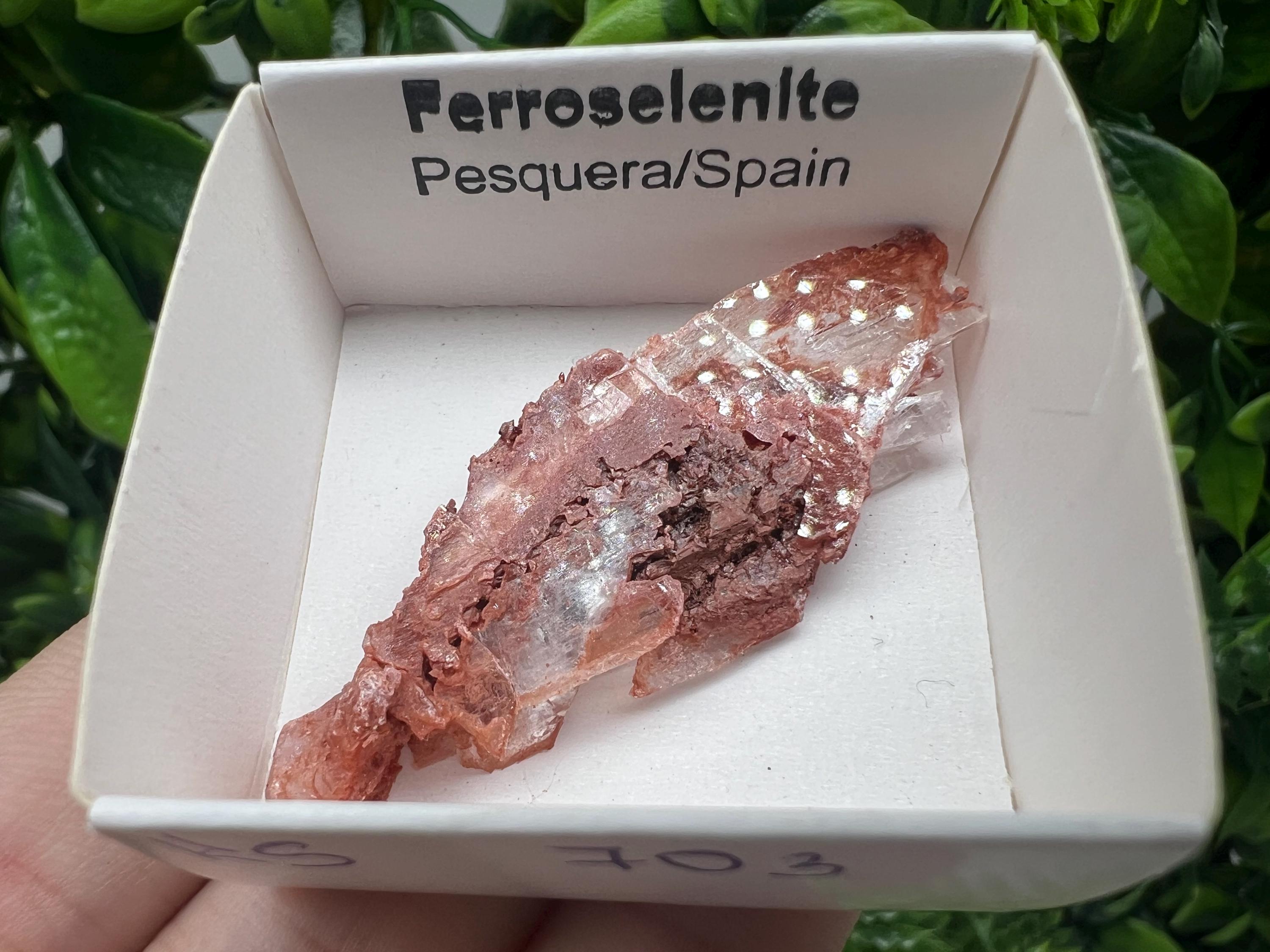 Rare Ferroselenite Specimen: La Pesquera, Spain Mineral (5/2 cm)