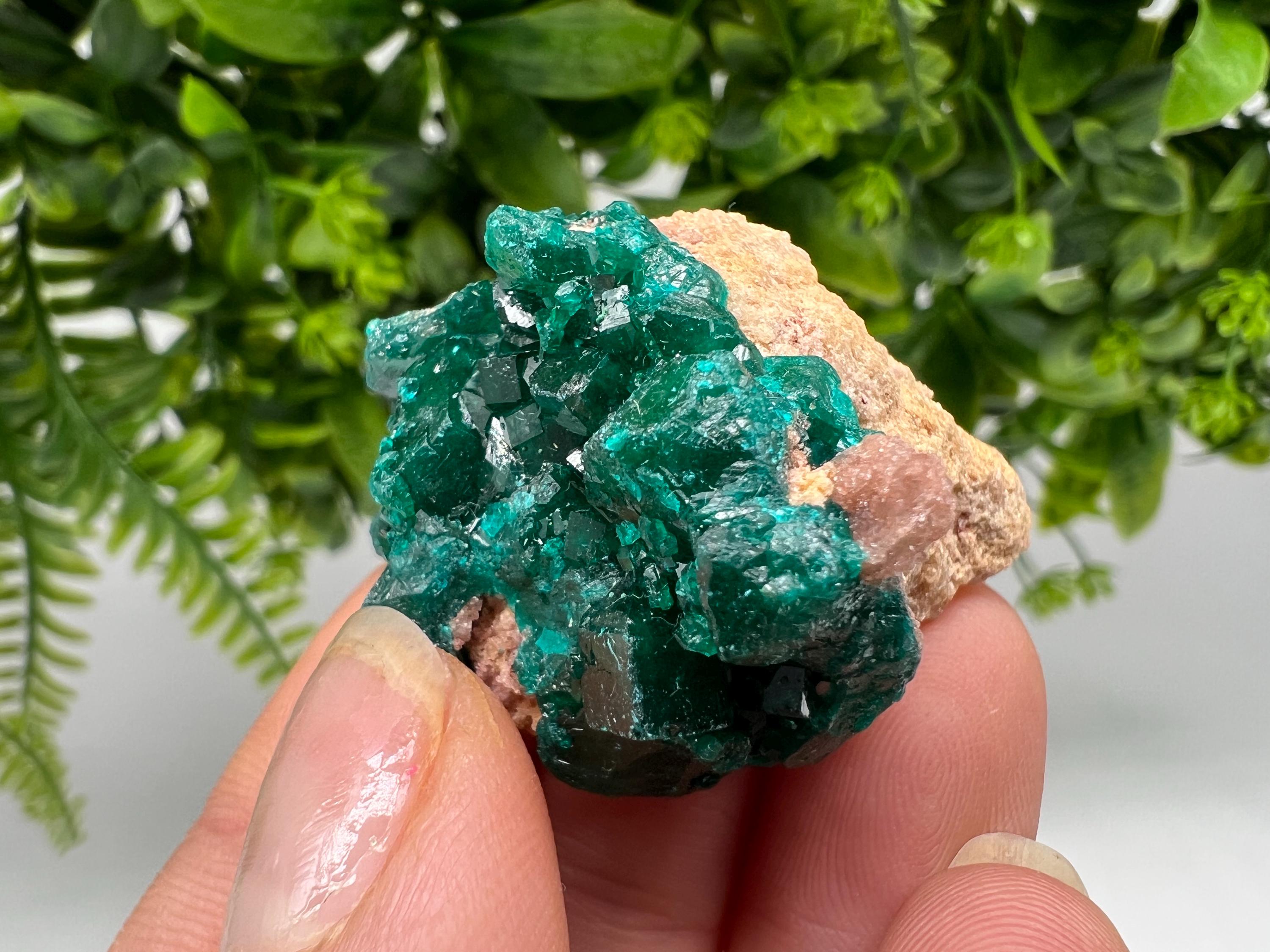 Stunning Green Dioptase from Sanda Hills,Mindouli,Pool Department,Mindouli District,Congo,green Dioptase,Dioptas Crystal,Dioptase collecting