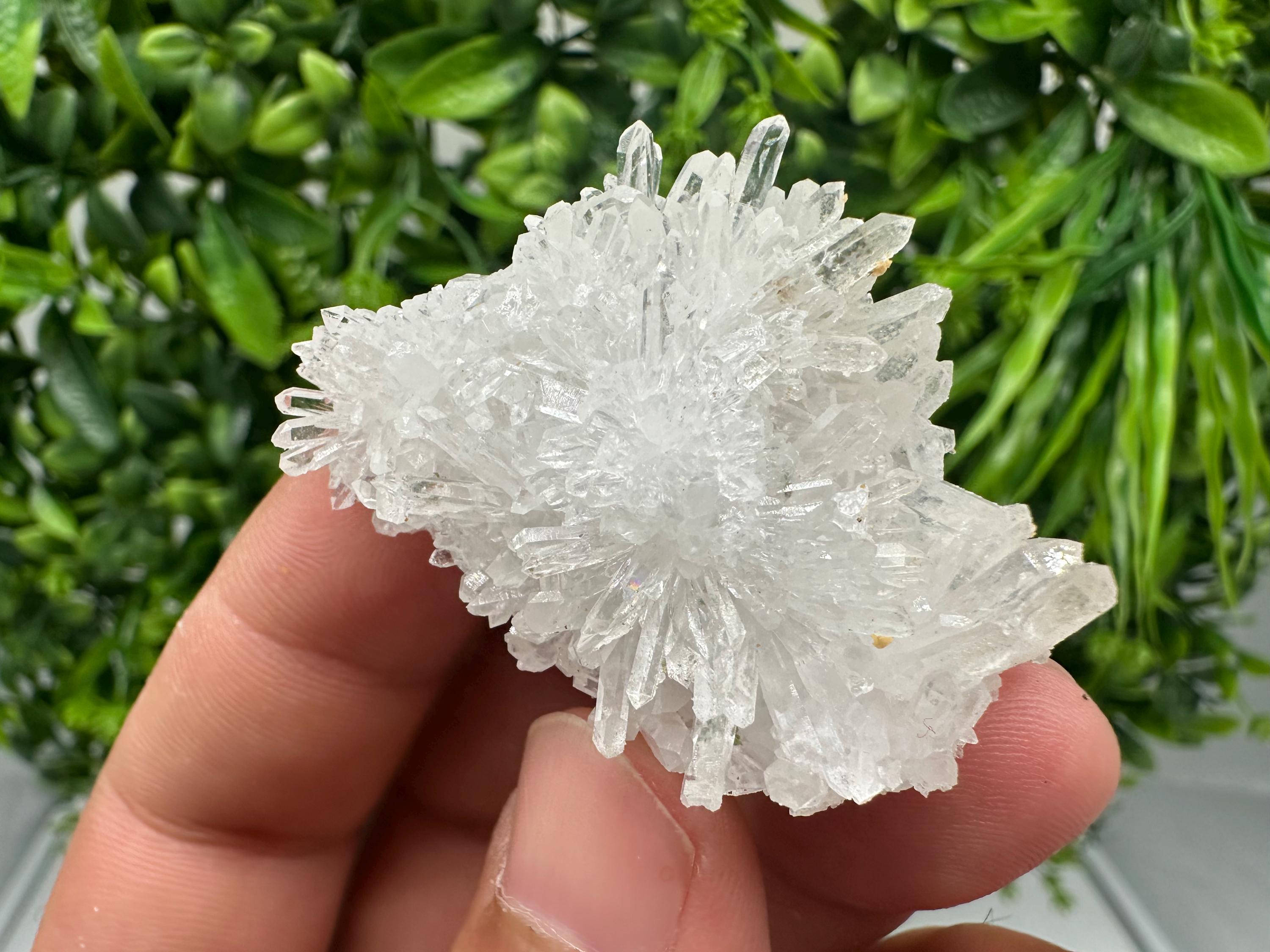 Transparent Quartz on Chlorite Matrix, Borieva Mine, Bulgaria