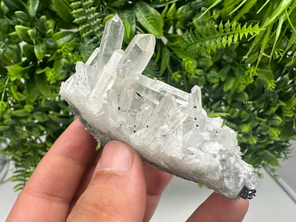 Wonderful Transparent Quartz on Chlorite Matrix,From Borieva mine,Madan,Bulgaria,Quartz,Quartz crystal,mineral specimen,collection quartz