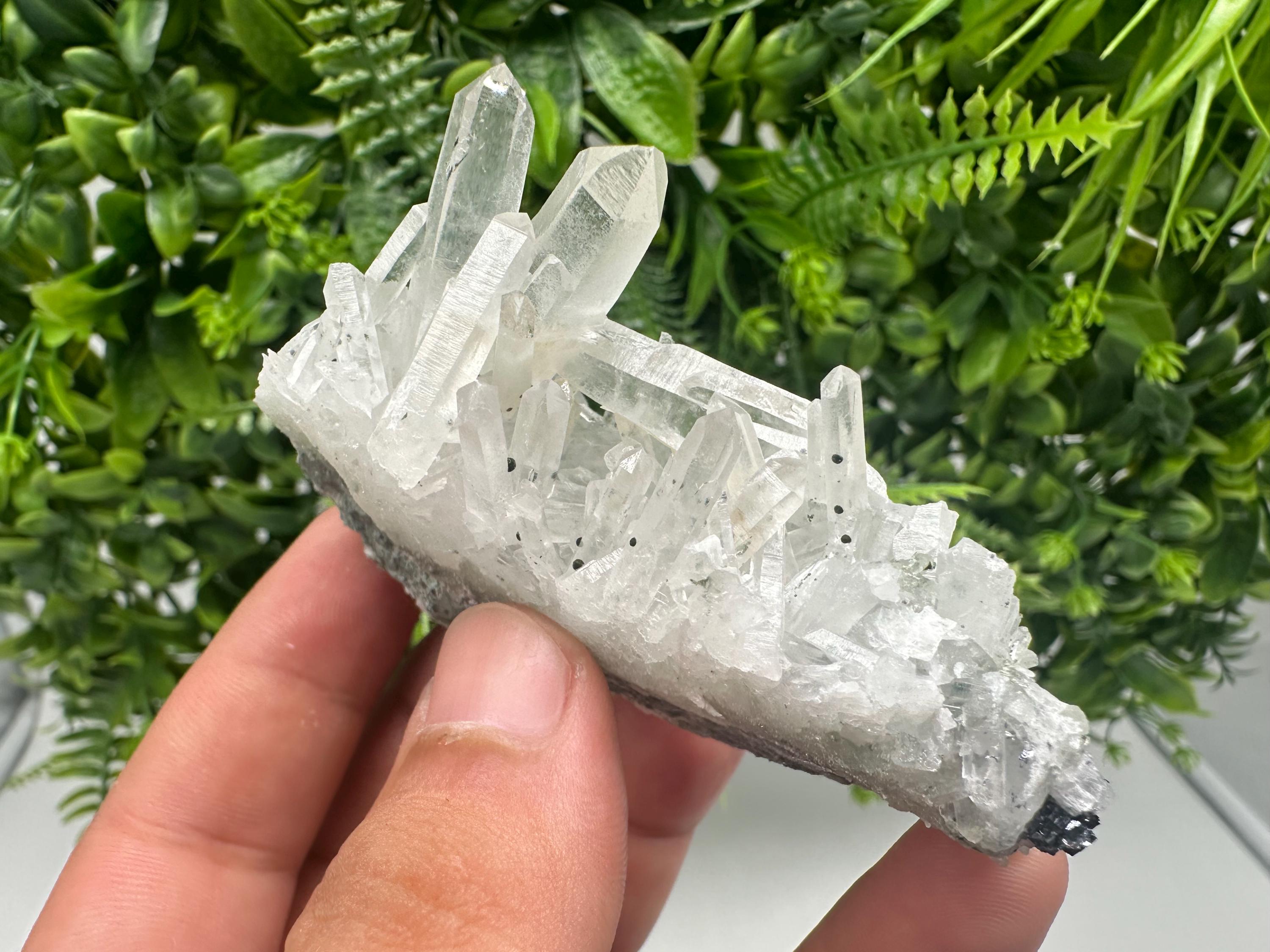 Wonderful Transparent Quartz on Chlorite Matrix,From Borieva mine,Madan,Bulgaria,Quartz,Quartz crystal,mineral specimen,collection quartz