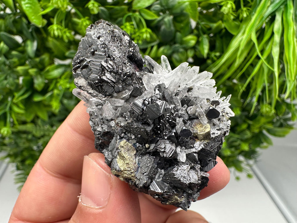 Wonderful Sphalerite Chalcopyrite on  Quartz whit Galena feom 9 th September mine,Bulgaria,natural,collection mineral specimen,gift