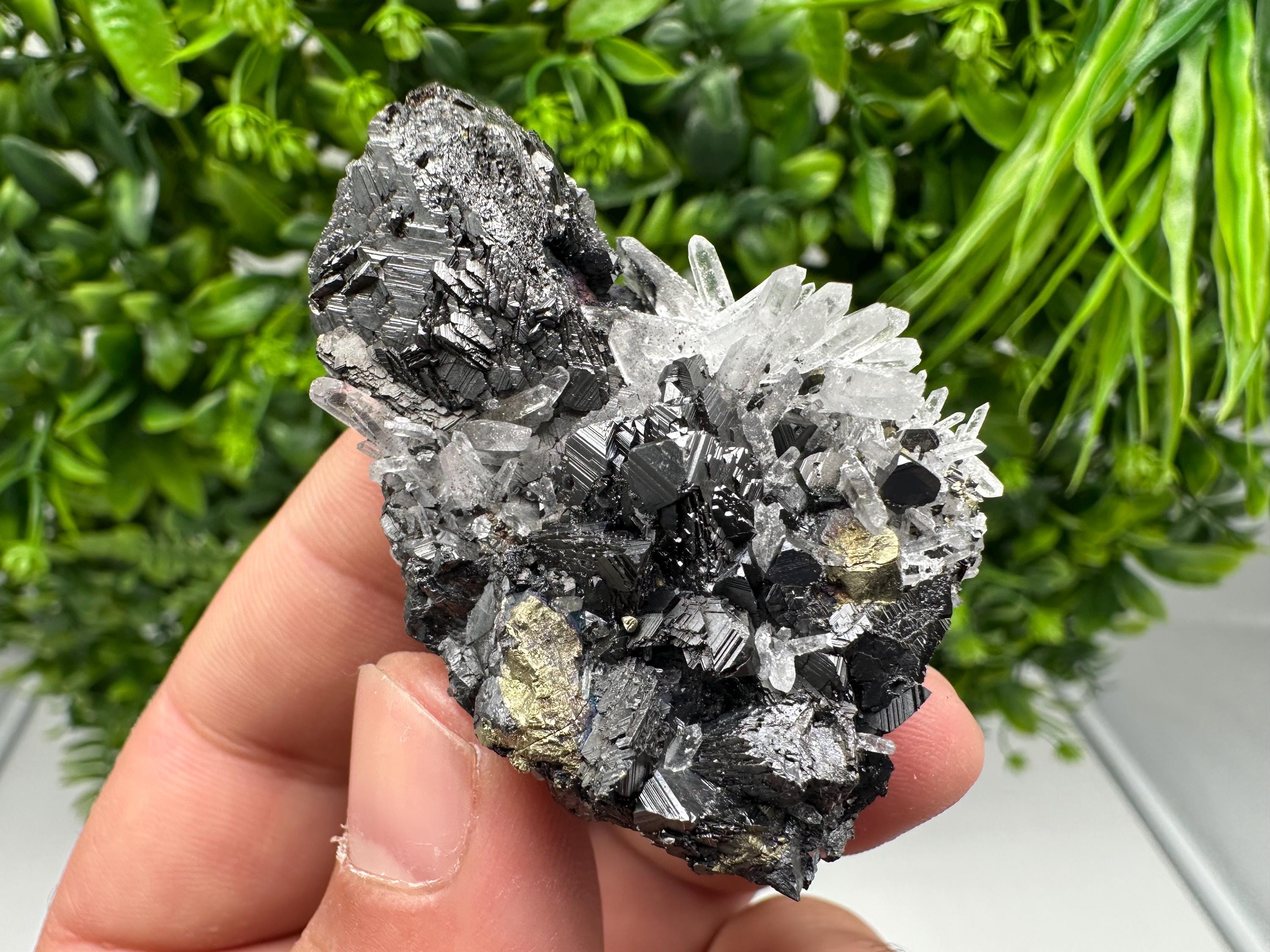 Wonderful Sphalerite Chalcopyrite on  Quartz whit Galena feom 9 th September mine,Bulgaria,natural,collection mineral specimen,gift