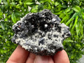 Stunning Shpinel Galena on Sphalerite,Calcite from Borieva mine,Madan,Bulgaria,Natural,collectible mineral specimen,home decor,collectible’s