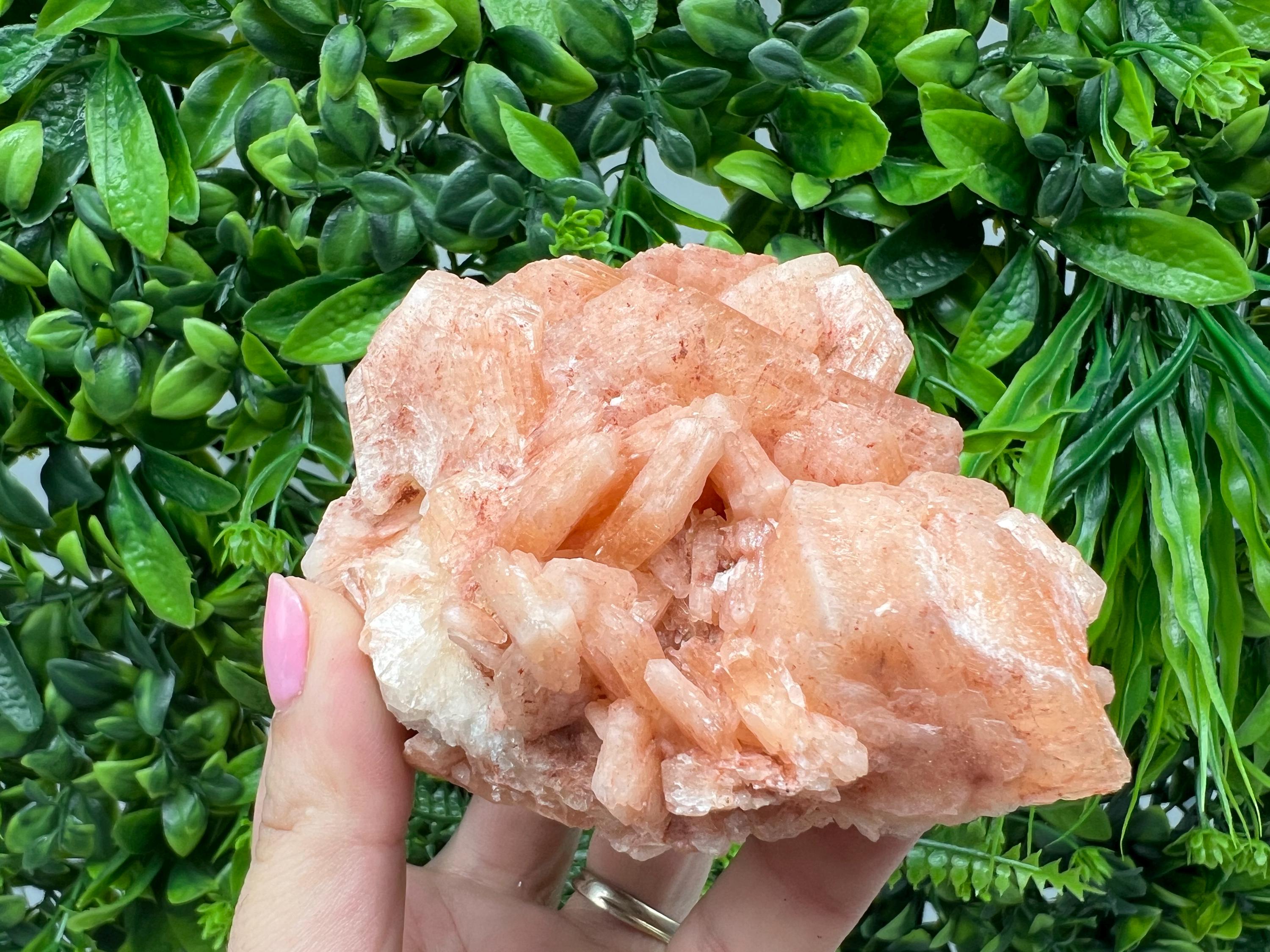 Apophyllite Stilbite Chalcedony Specimen: India Minerals Crystal Collection
