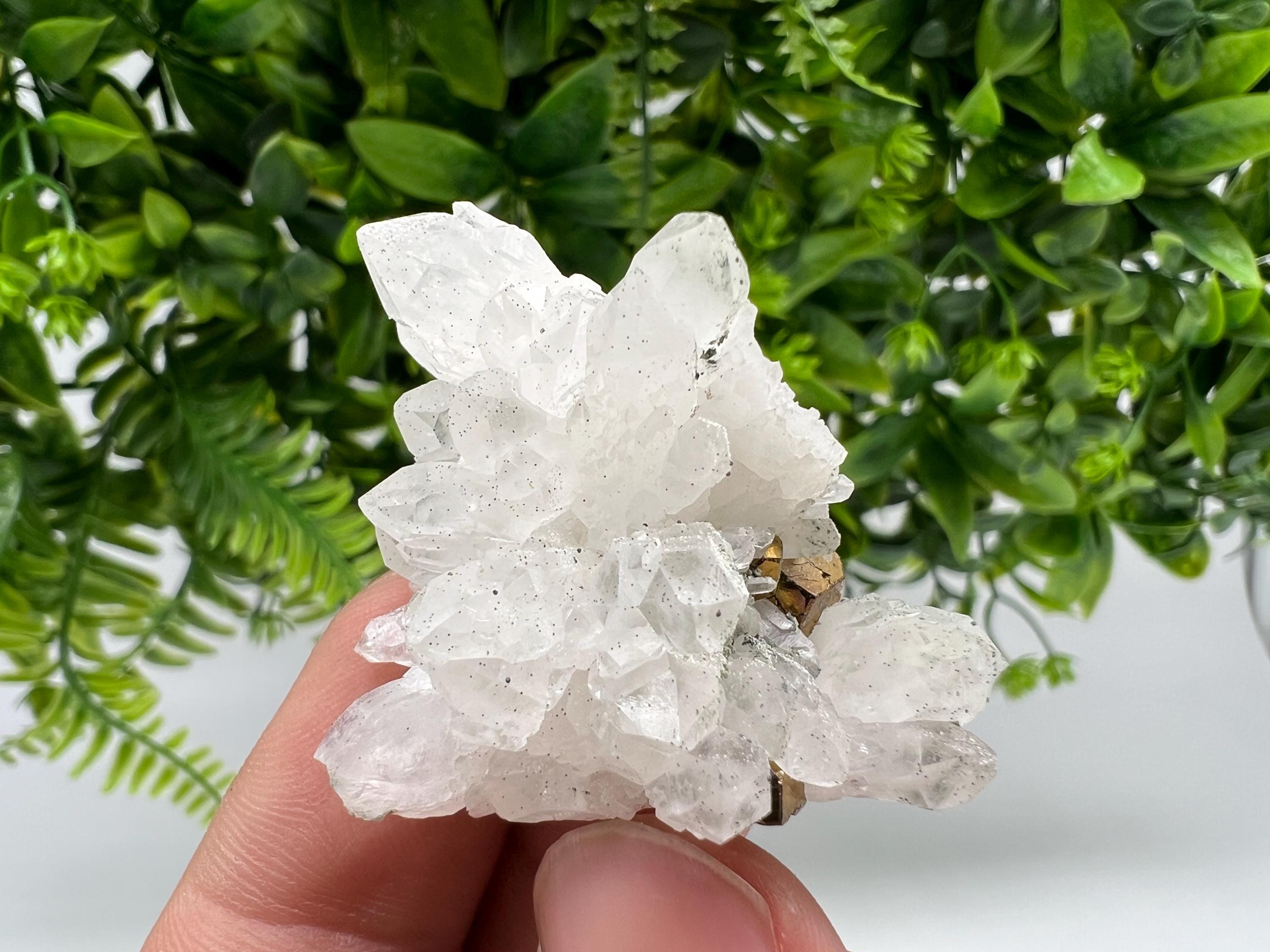 Transparent Quartz whit Rainbow Pyrite Djurcovo Laki Bulgaria natural minerals souvenir crystal stone gift minerals collection rock